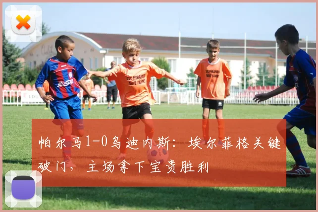 帕尔马1-0乌迪内斯：埃尔菲格关键破门，主场拿下宝贵胜利